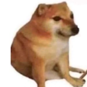 Meet your Posher, Jay